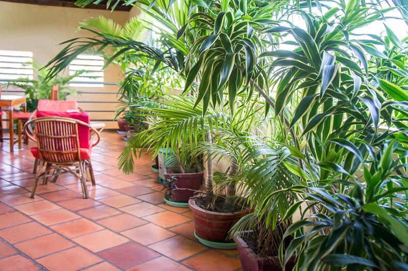 Visal Sak Guesthouse Kep Kültér fotó